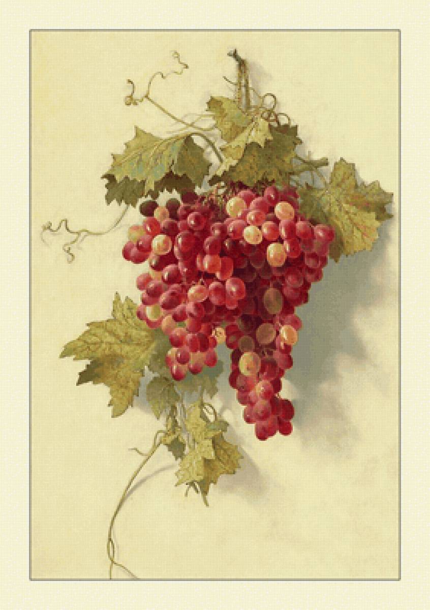 №2117788 - виноград, натюрморт, фрукты - предпросмотр