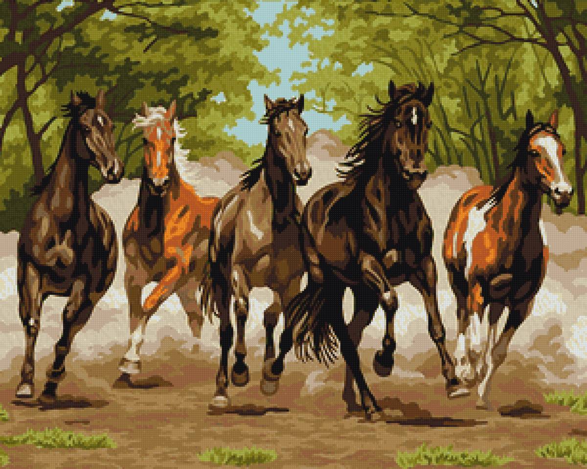 Бегущие лошади - лошади, природа - предпросмотр