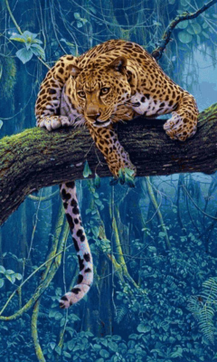 дикие - предпросмотр