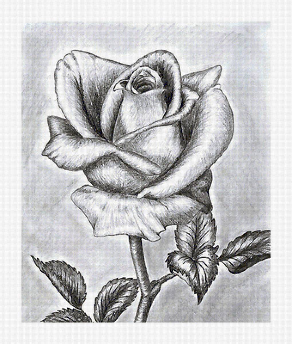 рисунок - предпросмотр