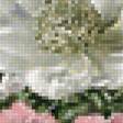 Предпросмотр схемы вышивки «Букет. Сесил Кеннеди» (№2118243)