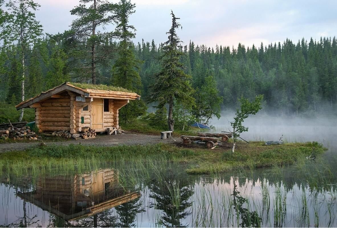 Природа - лес река - оригинал