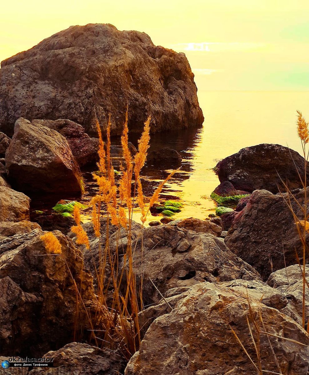 Природа - природа - оригинал