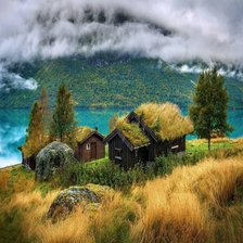 Схема вышивки «Природа»