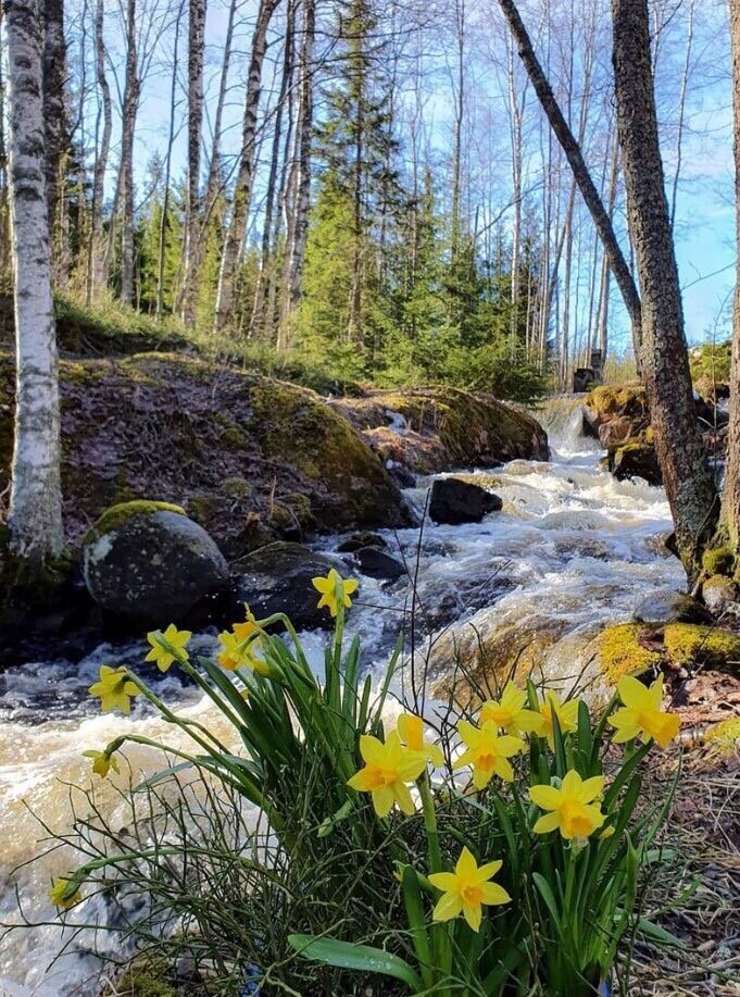 Природа - природа - оригинал