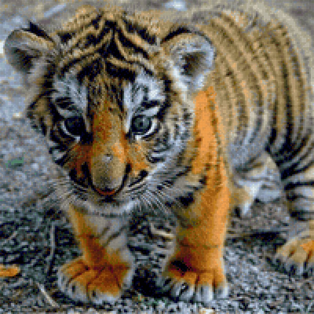 Животный мир - тигренок - предпросмотр