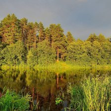 Схема вышивки «Природа»