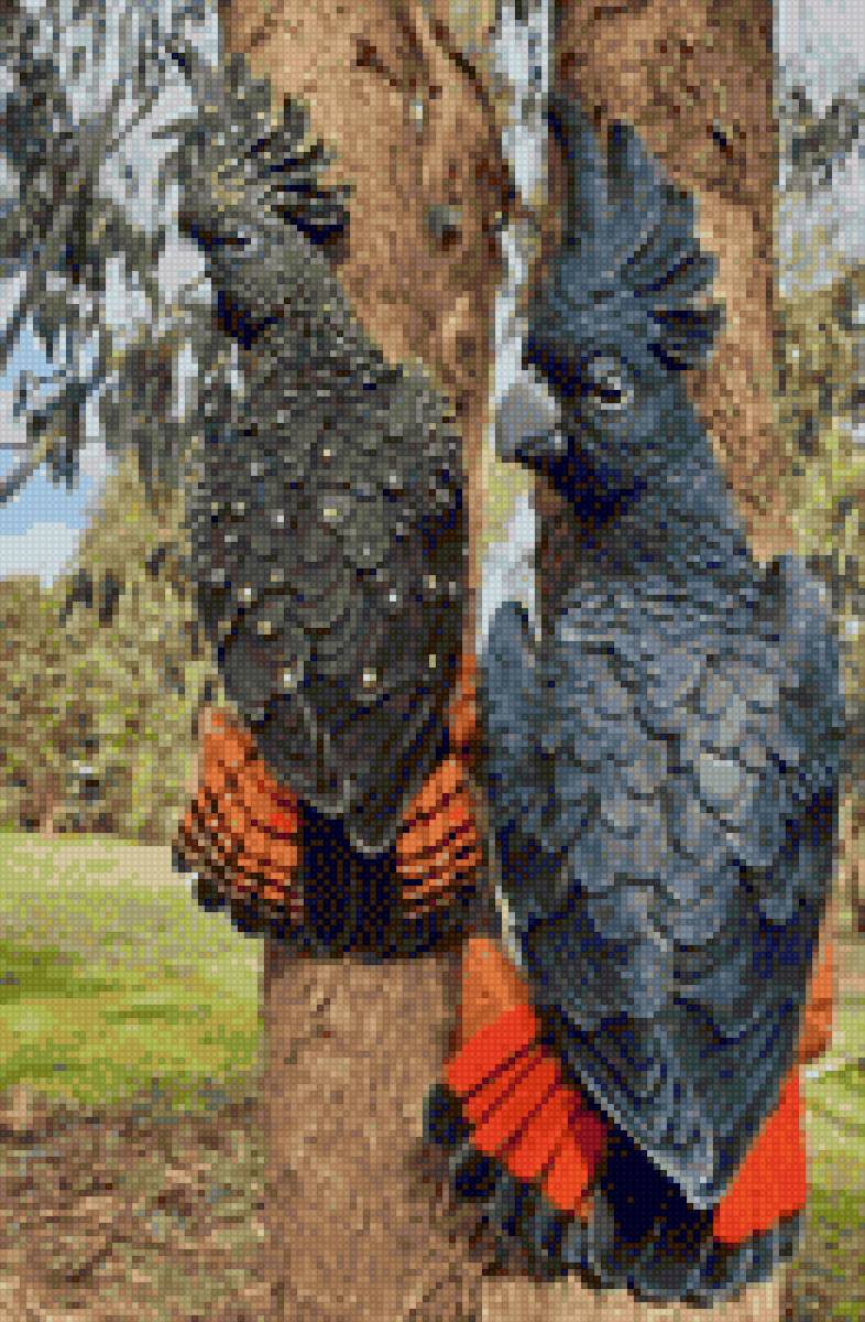 Птицы - птицы - предпросмотр