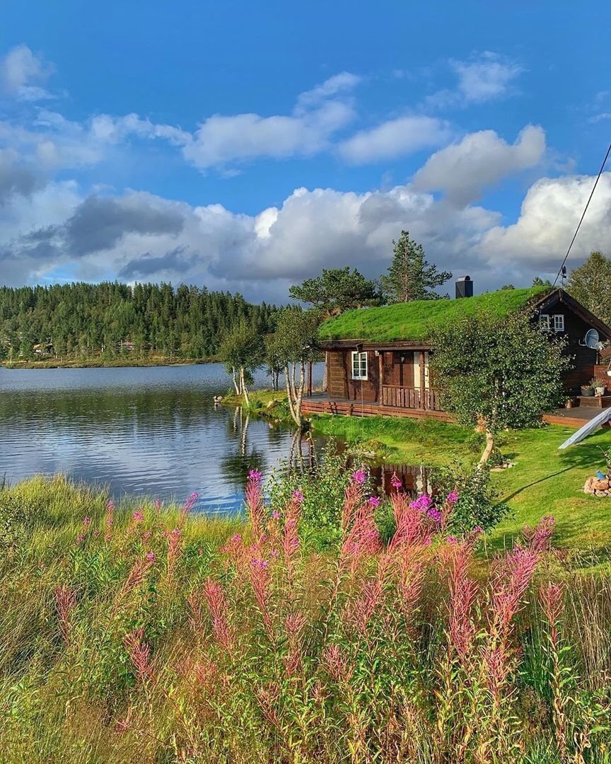 Природа - природа - оригинал