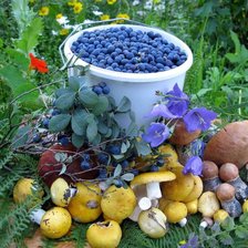 Схема вышивки «Натюрморт»