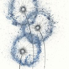 Схема вышивки «Одуванчик»