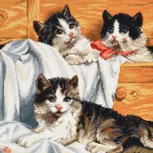 три котенка