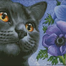 Оригинал схемы вышивки «кот с орхидеей» (№2118405)