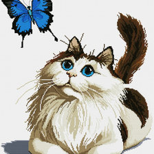 Схема вышивки «кошка с бабочкой»