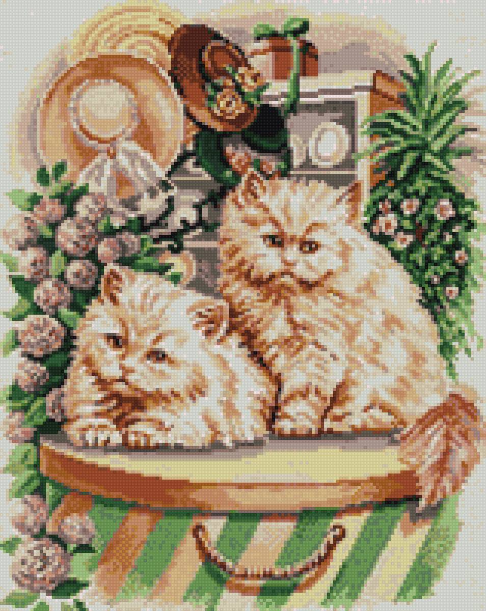 котята на шляпной коробке - котята - предпросмотр