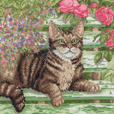 Схема вышивки «кот и розы»