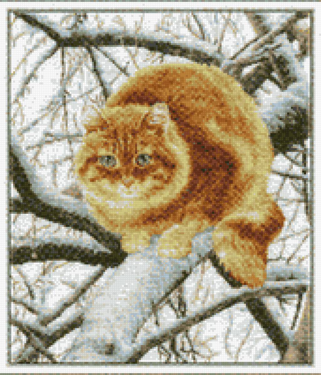 зимой - коты - предпросмотр