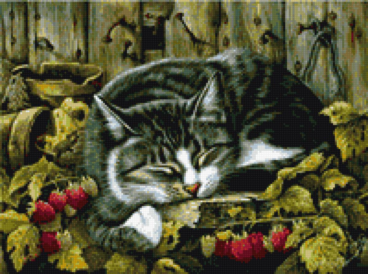 кот в малине - коты - предпросмотр