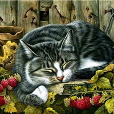 Схема вышивки «кот в малине»