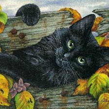 Схема вышивки «чёрный»