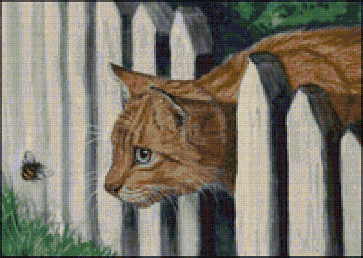 охотник - коты - предпросмотр