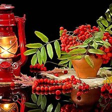 Схема вышивки «№2118551»