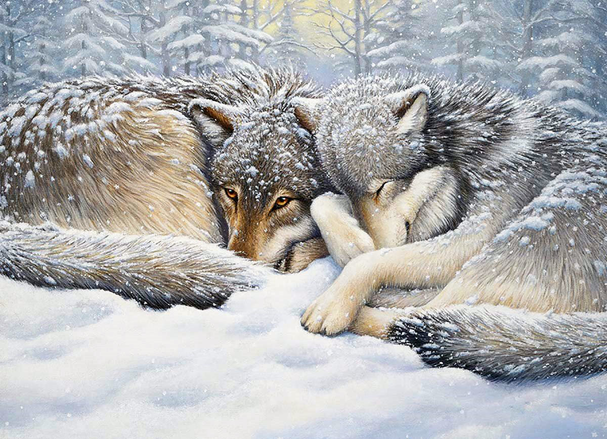 №2118707 - снег, зима, лесные звери, животные, волки - оригинал