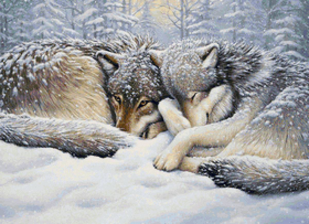 №2118707 - снег, животные, волки, зима, лесные звери - предпросмотр