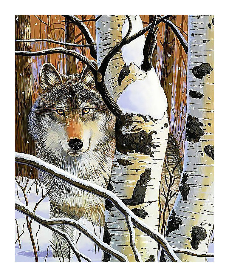 Волки в зимнем лесу. - березы, волк, животные, лес, снег, хищник, живопись, зима - оригинал