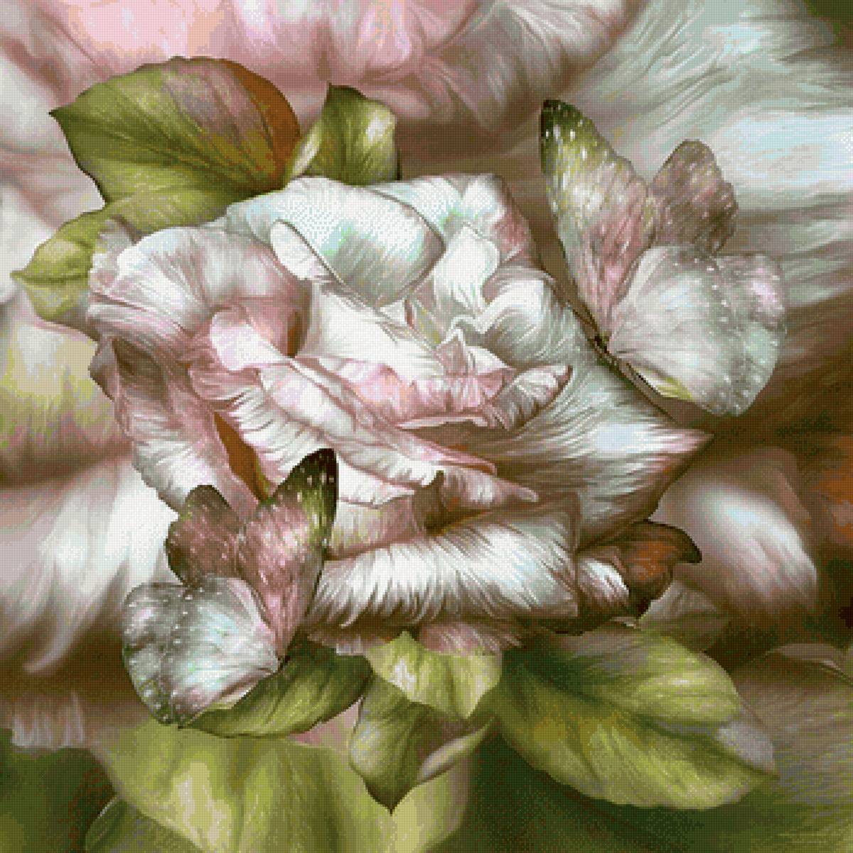 Художник Carolcavalaris - художники, бабочки, цветы, природа - предпросмотр