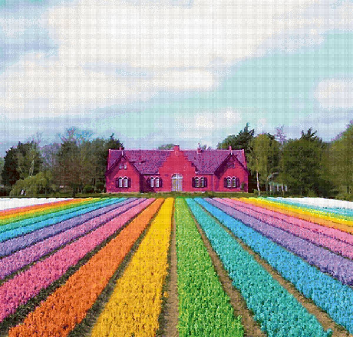 №2119124 - предпросмотр