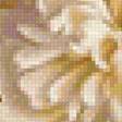 Предпросмотр схемы вышивки «piwonie» (№2119127)