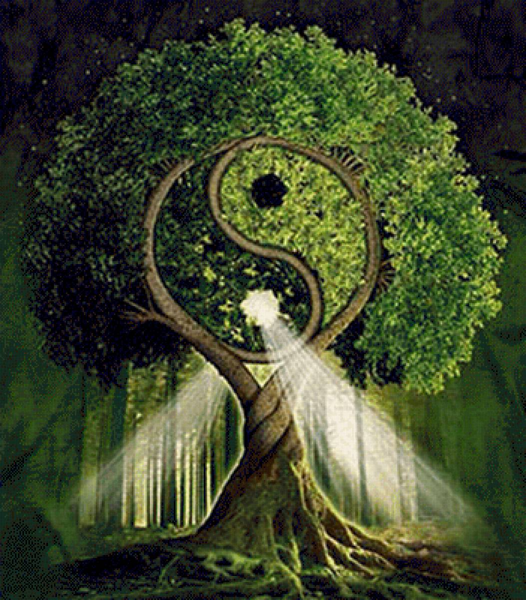 Дерево дао - дерево, лес - предпросмотр