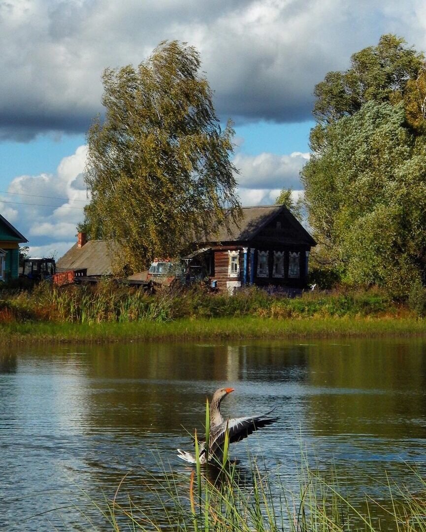 №2119399 - оригинал