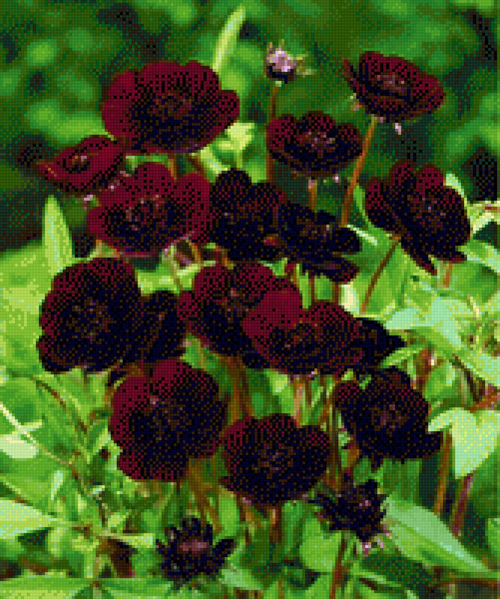 №2119412 - предпросмотр