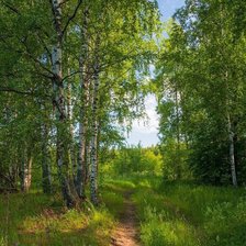 Схема вышивки «№2119417»