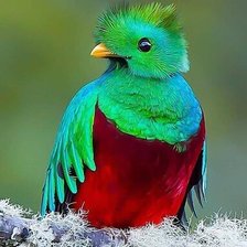 Оригинал схемы вышивки «№2119421»