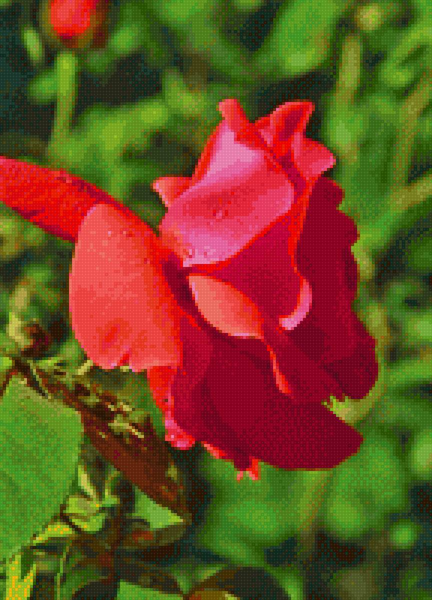 №2119427 - предпросмотр