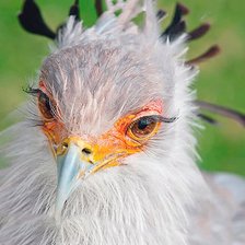 Оригинал схемы вышивки «№2119428»