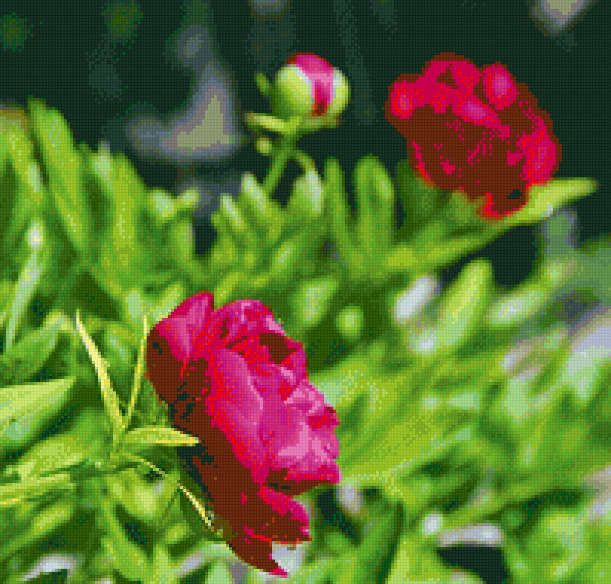 №2119430 - предпросмотр