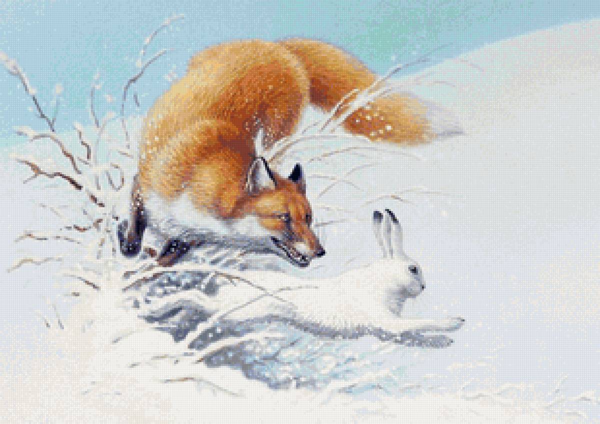 Охота лис на зайцев. Лиса охотится за зайцем. Лиса гонится за зайцем. Лиса зимой для детей. Иллюстрация лисы.