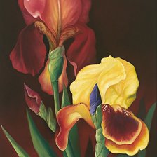 Схема вышивки «Ирисы»