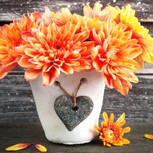 Схема вышивки «Хризантемы»