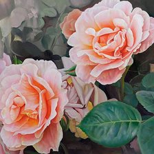 Схема вышивки «Две розы»