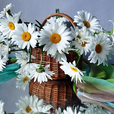 Схема вышивки «Ромашки»