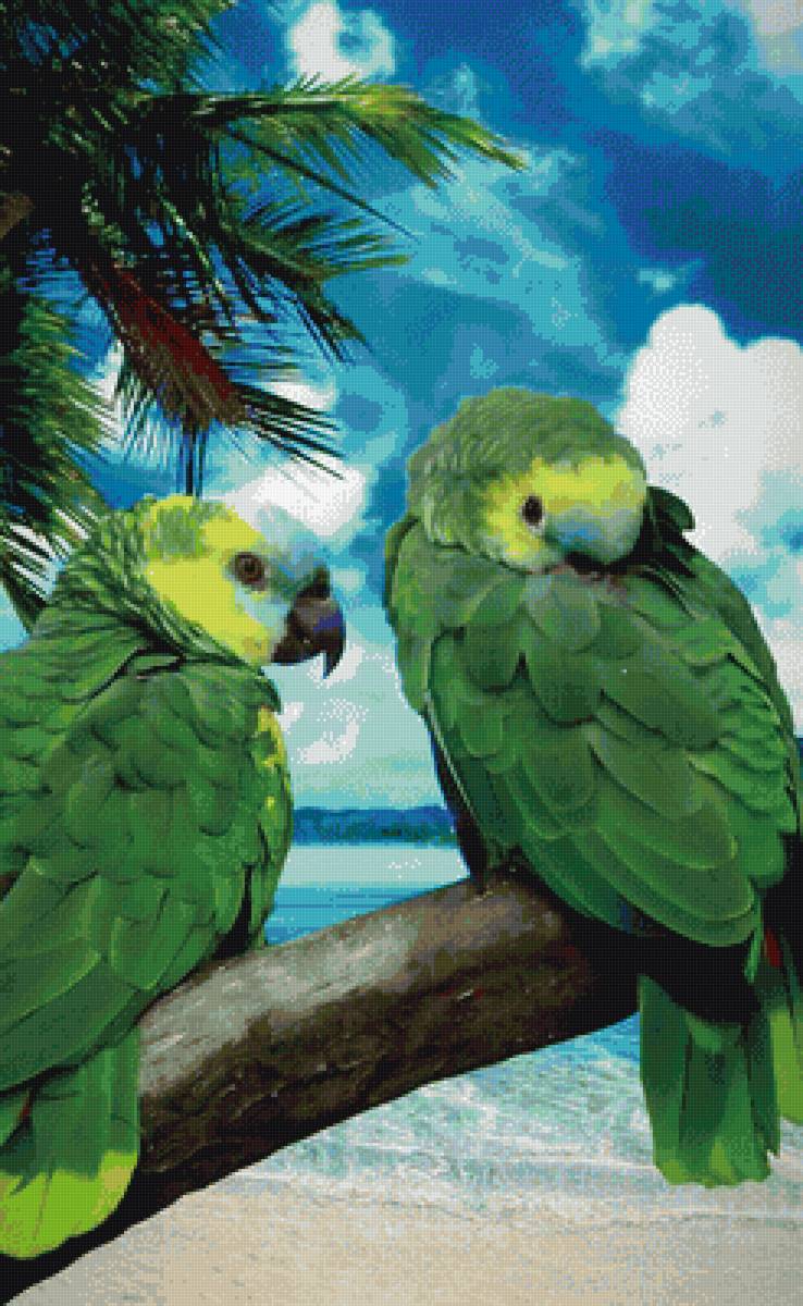 №2119582 - предпросмотр