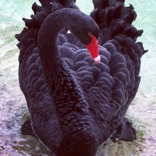 Оригинал схемы вышивки «№2119722»