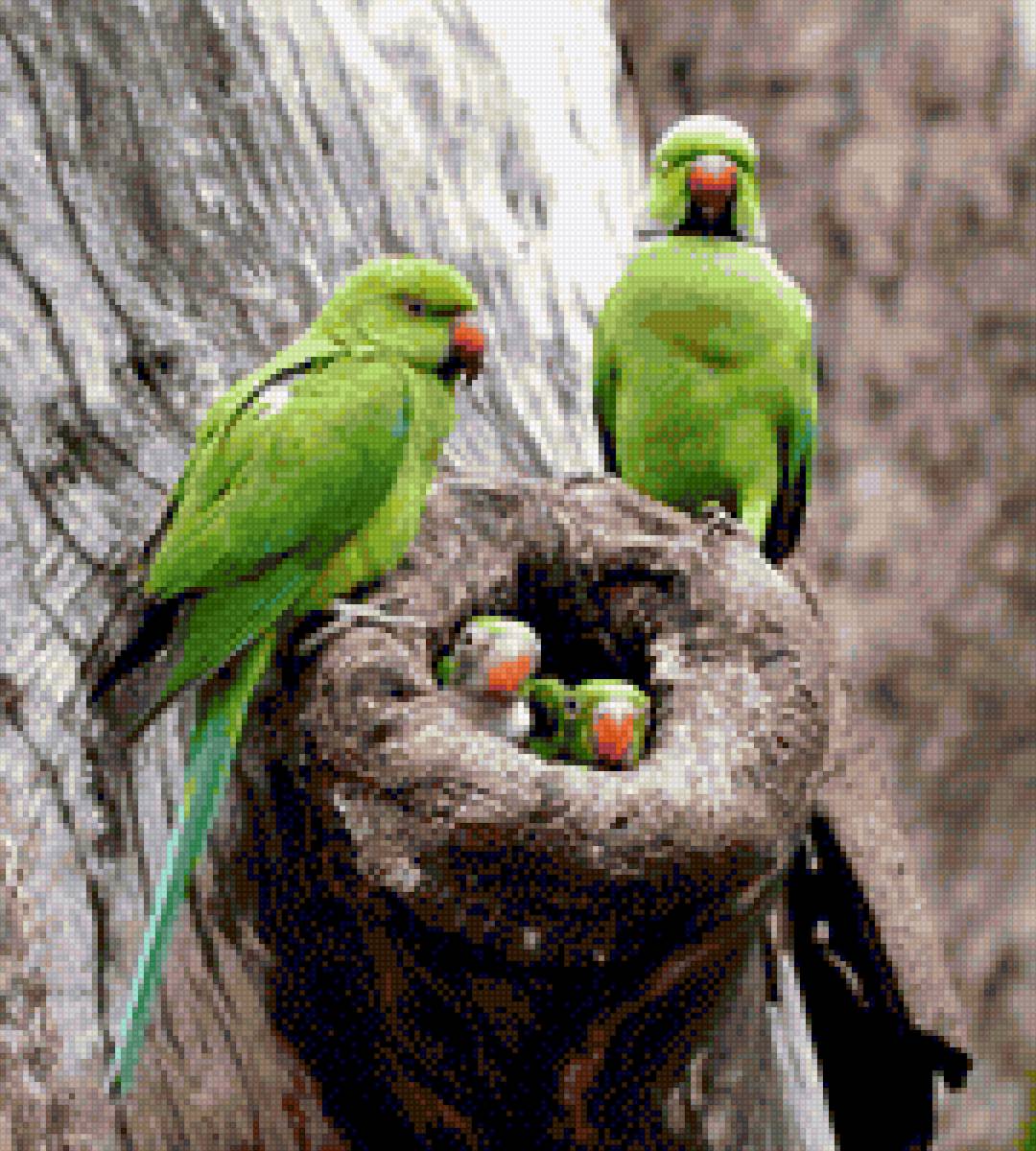 №2119725 - предпросмотр