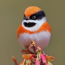 Схема вышивки «№2119731»