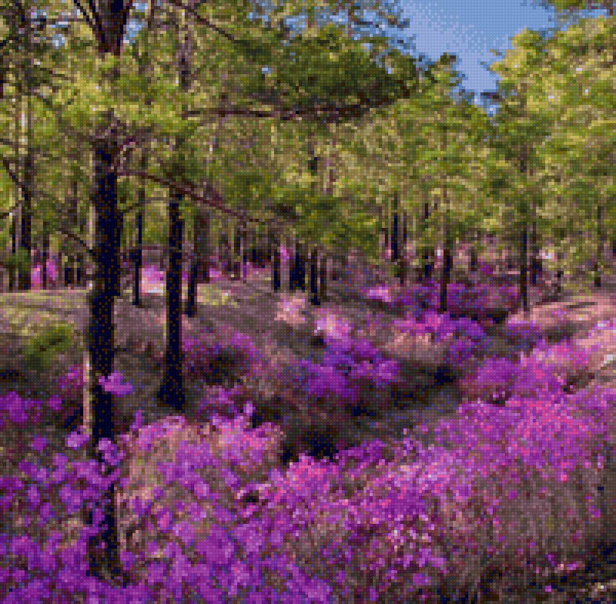 №2119751 - предпросмотр